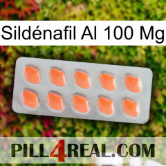 Sildénafil Al 100 Mg 26